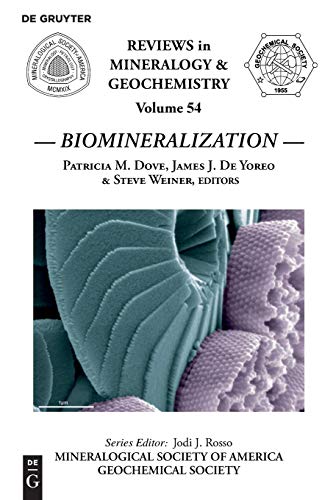 9780939950669: Biomineralization (Reviews in Mineralogy & Geochemistry, 54)