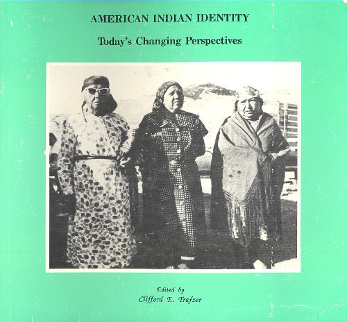 Stock image for American Indian Identity Today's Changing Perspectives for sale by Chequamegon Books