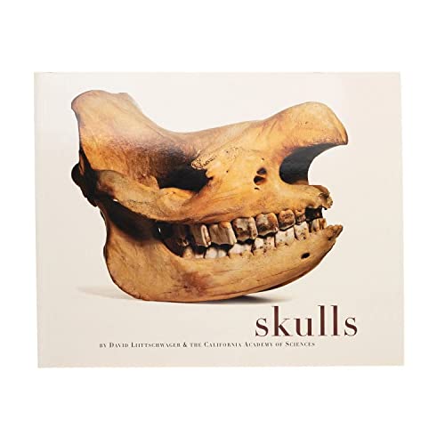 Imagen de archivo de Skulls a la venta por Books From California