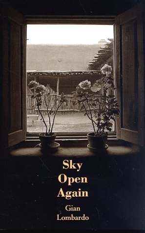Imagen de archivo de Sky Open Again a la venta por White Square - Fine Books & Art