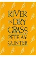 Stock image for River in Dry Grass for sale by Bookmans