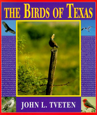 Beispielbild fr The Birds of Texas zum Verkauf von SecondSale