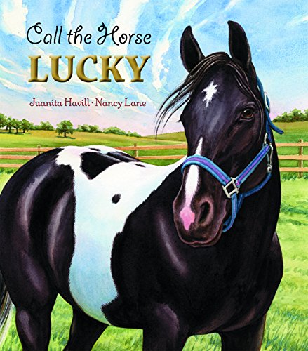 Stock image for Call the Horse Lucky for sale by SecondSale