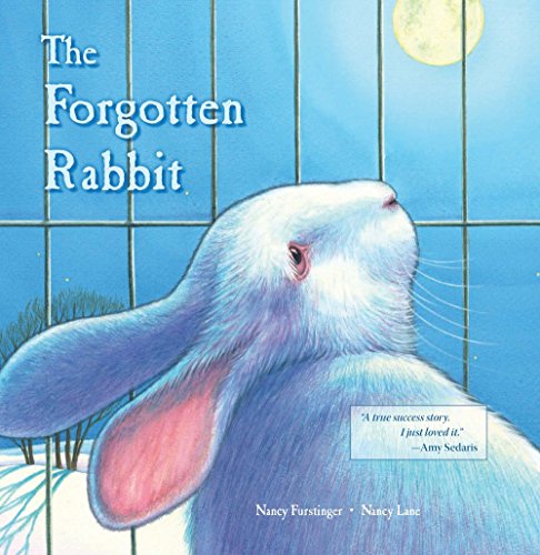 Imagen de archivo de The Forgotten Rabbit a la venta por ThriftBooks-Atlanta