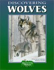 Stock image for Discovering Wolves [With Stickers] for sale by ThriftBooks-Dallas