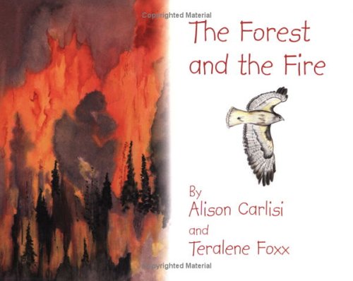 Stock image for The Forest and the Fire for sale by Bank of Books