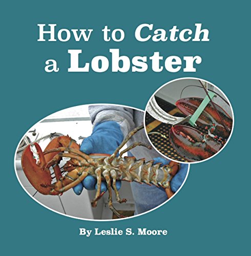 Stock image for How to Catch a Lobster for sale by ThriftBooks-Dallas