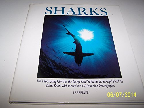 Beispielbild fr Sharks zum Verkauf von WorldofBooks