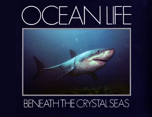 Beispielbild fr Ocean Life: Beneath the Crystal Seas zum Verkauf von WorldofBooks