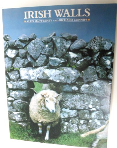 Imagen de archivo de Irish Walls a la venta por Wonder Book