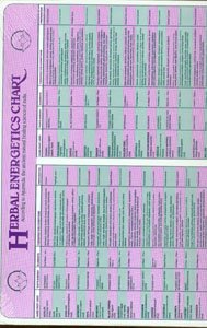 Beispielbild fr Herbal Energetics Chart 9" x 12" zum Verkauf von Books Unplugged