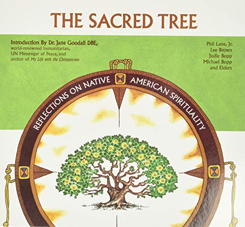 Stock image for Sacred Tree: Reflections on Native American Spirituality for sale by SecondSale