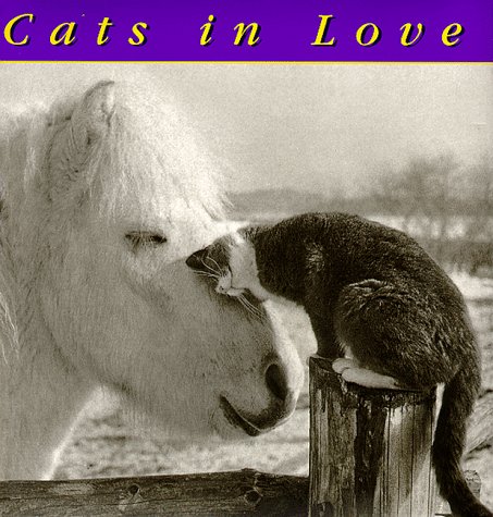 Beispielbild fr Cats In Love zum Verkauf von Gulf Coast Books