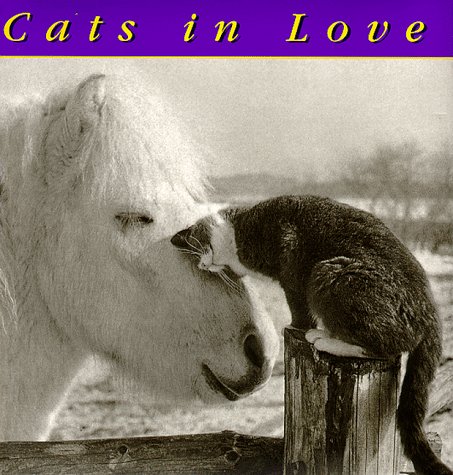 9780941807029: CATS IN LOVE GEB