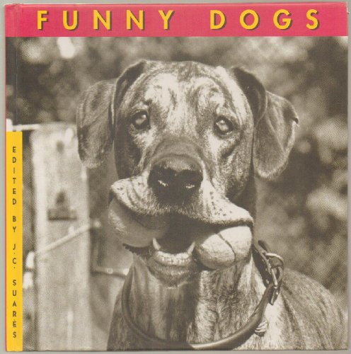 Imagen de archivo de Funny Dogs a la venta por ThriftBooks-Atlanta