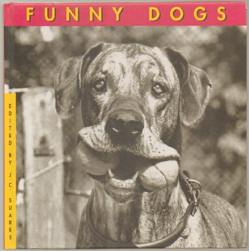 Stock image for Funny Dogs for sale by Wonder Book