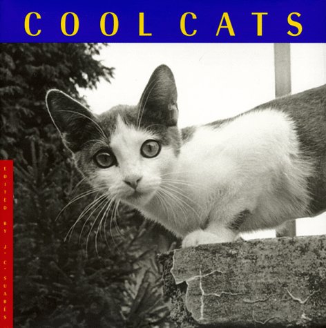 Beispielbild fr Cool Cats zum Verkauf von Wonder Book