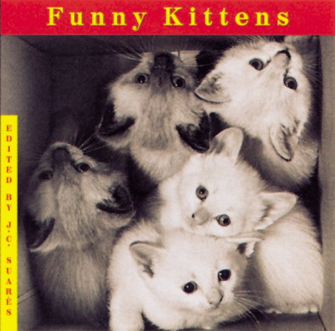 Beispielbild fr Funny Kittens (Welcome Books (Steward Tabori & Chang)) zum Verkauf von Wonder Book