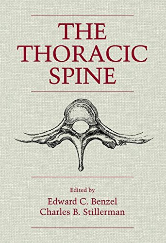 Stock image for The Thoracic Spine for sale by HPB-Red