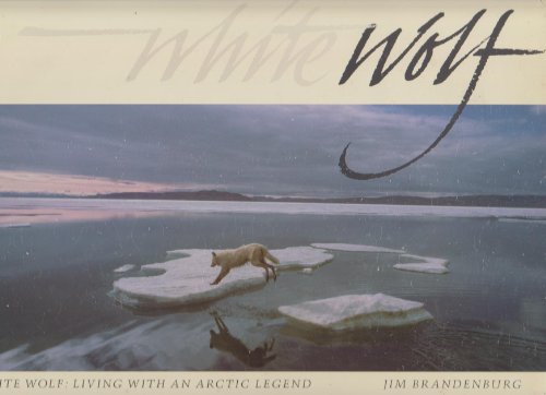 9780942802955: White Wolf: Living With an Arctic Legend