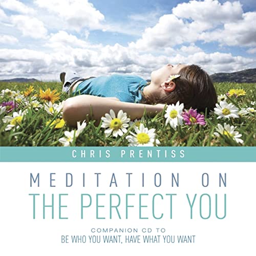 Imagen de archivo de Meditation on the Perfect You a la venta por Seattle Goodwill