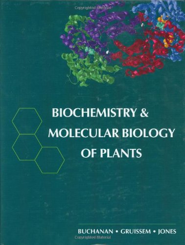 Imagen de archivo de Biochemistry and Molecular Biology of Plants a la venta por Anybook.com