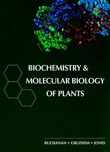Stock image for Biochemistry & Molecular Biology of Plants for sale by HPB-Red
