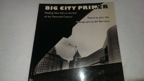 Beispielbild fr Big City Primer: Reading New York at the End of the Twentieth Century zum Verkauf von ANARTIST