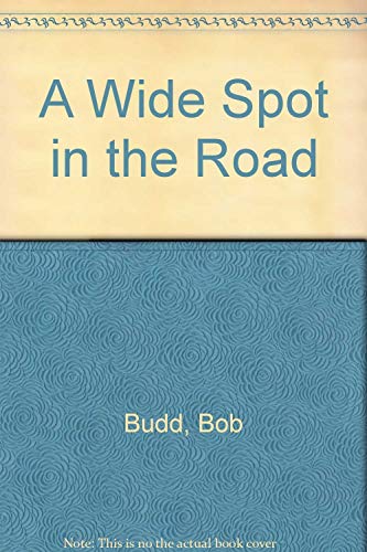 Stock image for A Wide Spot in the Road for sale by Gulf Coast Books