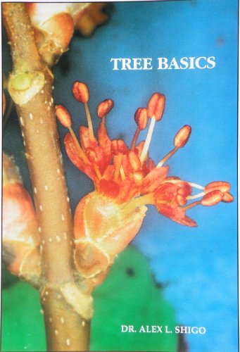 Stock image for Tree Basics: What Every Person Needs to Know About Trees for sale by GF Books, Inc.