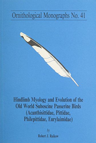 Imagen de archivo de Hindlimb Myology and Evolution of the Old World Suboscine Passerine Birds (OM41) (Ornithological Monographs) a la venta por Powell's Bookstores Chicago, ABAA