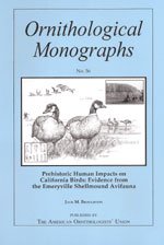 Imagen de archivo de Prehistoric Human Impacts on Califronia Birds : Evidence from the Emeryville Shellmound Avifauna a la venta por Chequamegon Books