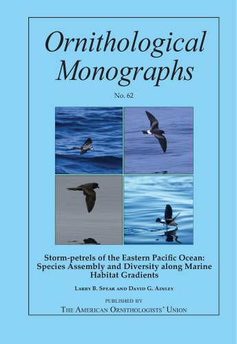 Imagen de archivo de Storm-Petrels of the Eastern Pacific Ocean: Species Assembly and Diversity Along Marine Habitat Gradients a la venta por Chequamegon Books