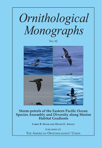 Stock image for Storm-petrels of the Eastern Pacific Ocean: Species Assembly and Diversity along Marine Habitat Gradients (Ornithological Monographs) for sale by Front Cover Books