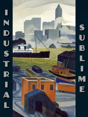 Imagen de archivo de Industrial Sublime: Modernism and the Transformation of New York's Rivers, 1900-1940 (The Visitor in the Landscape) a la venta por Bellwetherbooks