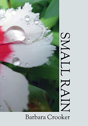 Imagen de archivo de Small Rain. a la venta por Bucks County Bookshop IOBA