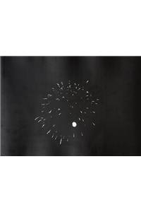 Imagen de archivo de Ross Bleckner Photographs a la venta por Ludilivre Photobooks