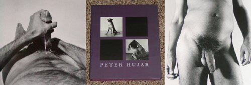 Stock image for PETER HUJAR: ANIMALS AND NUDES for sale by Edward Ripp: Bookseller