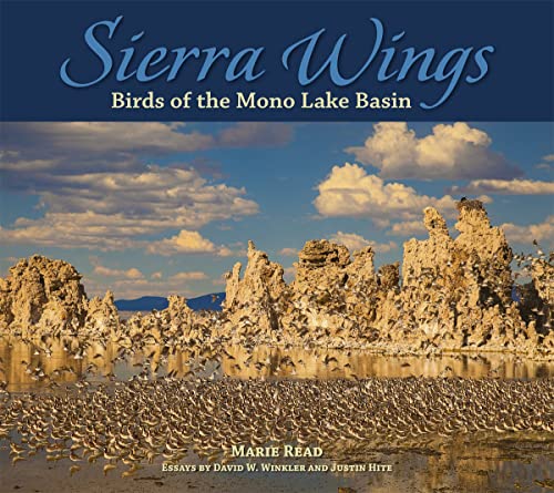 Sierra Wings: Birds of the Mono Lake Basin (Companion Press Series)