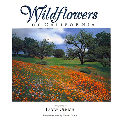 Stock image for Wildflowers of California for sale by Ken's Book Haven