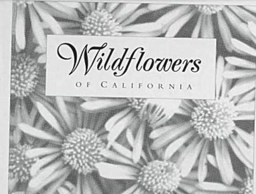 9780944197332: Wildflowers of California