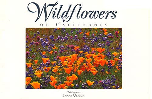 Stock image for Wildflowers of California: Twenty Postcards (Companion Press Series) for sale by GoldenWavesOfBooks