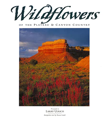 Stock image for Wildflowers Of The Plateau And Canyon Country for sale by Taos Books