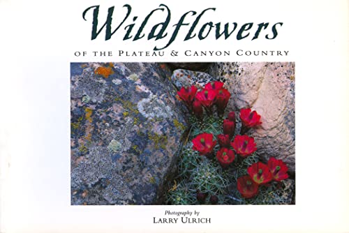 Stock image for Wildflowers Of The Plateau And Canyon Country for sale by Ergodebooks