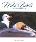 Imagen de archivo de Wild Birds Of California a la venta por Front Cover Books