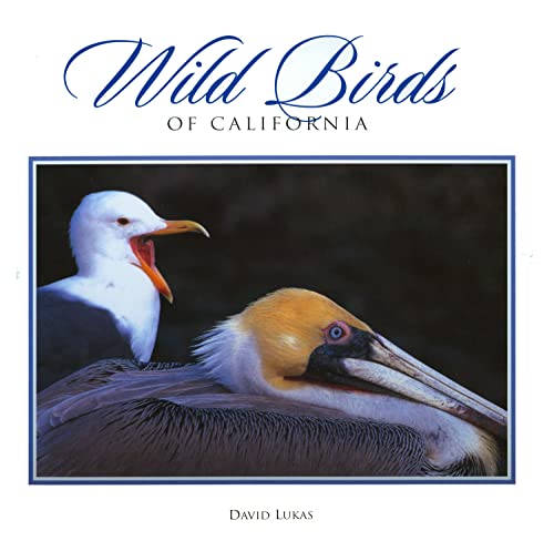 Wild Birds of California (Companion Press Series) (9780944197639) by Lukas, David