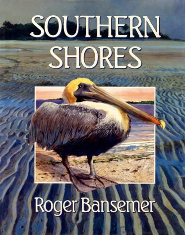 Stock image for Southern Shores for sale by WorldofBooks