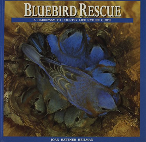 Beispielbild fr Bluebird Rescue : Country Life Nature Guide zum Verkauf von Better World Books
