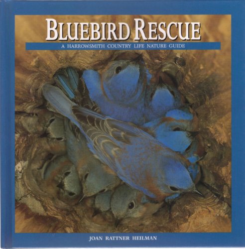 Beispielbild fr Bluebird Rescue : Country Life Nature Guide zum Verkauf von Better World Books