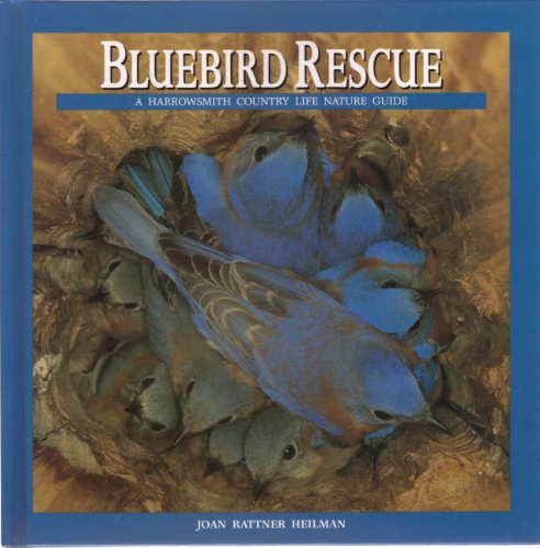 Stock image for Bluebird Rescue : Country Life Nature Guide for sale by Better World Books